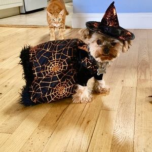 Meet your Posher, Mary